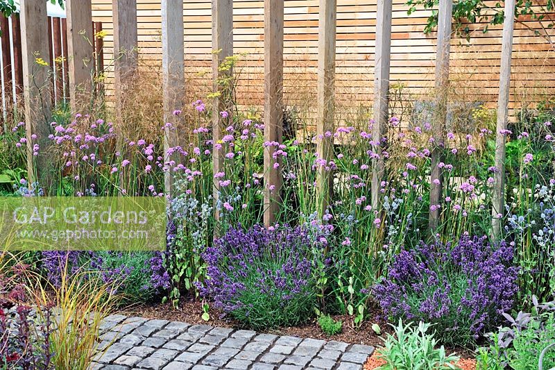 Deschampsia, Verbena bonariensis,Eryngium and lavender along fence of vertical, recycled scaffolding boards - Escape To The City - RHS Tatton Park Flower Show 2013 