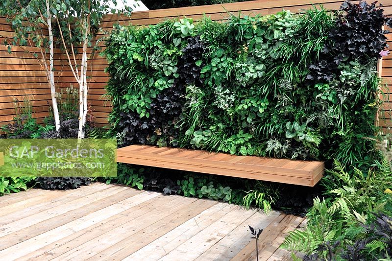 Vertical living wall above a cedar wood bench - Escape To The City - RHS Tatton Park Flower Show 2013