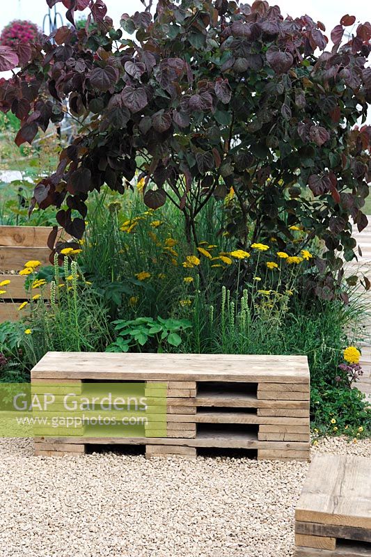 Garden bench made from recycled boards. Cercis canadensis 'Forest Pansy'. The Bees Garden. RHS tatton Park Flower Show 2013