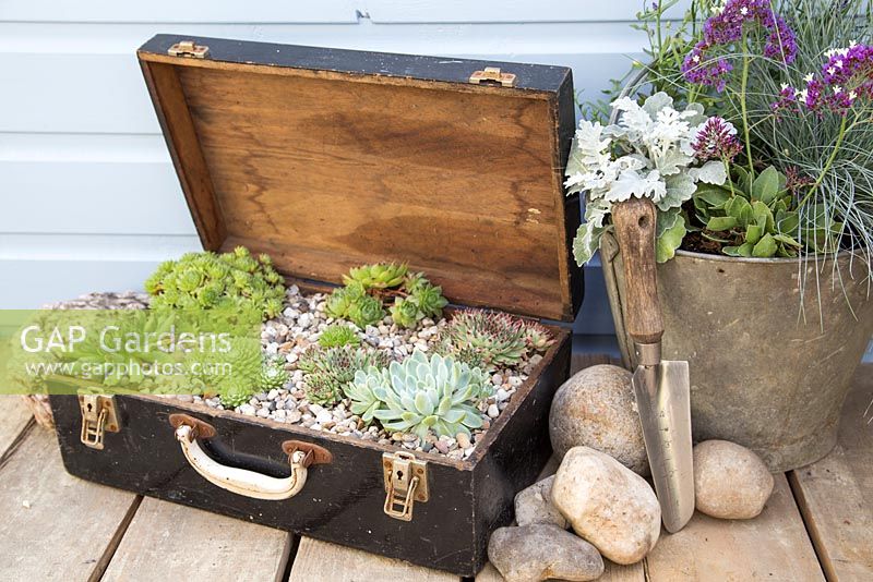 Step by Step - Recycled tool chest used as succulent container. 
