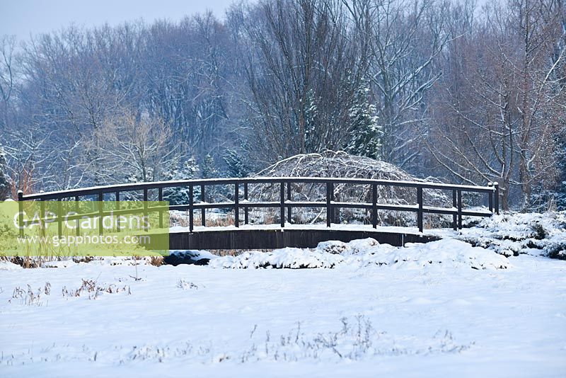 Wooden bridge in winter. Polish Academy of Sciences Botanical Garden -  Powsin/ Warsaw, Poland