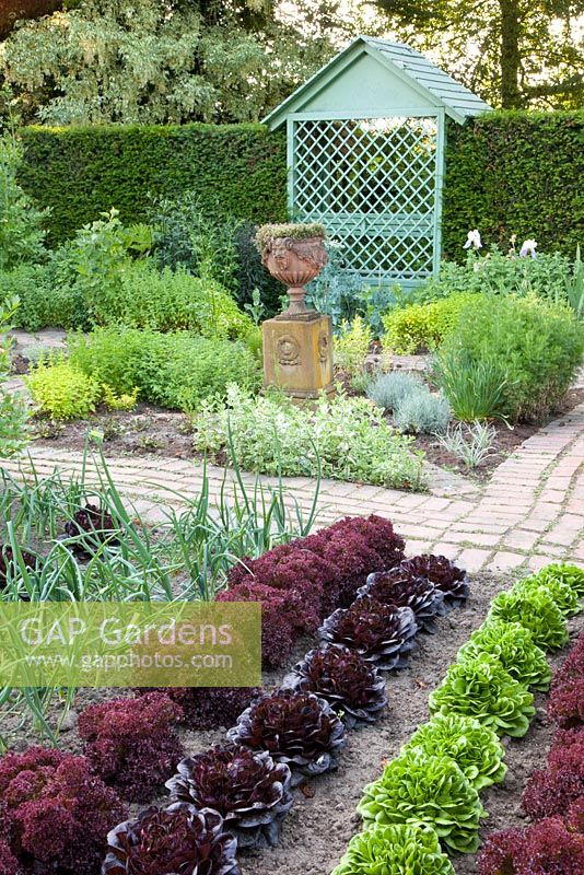 Vegetable and herb gardens