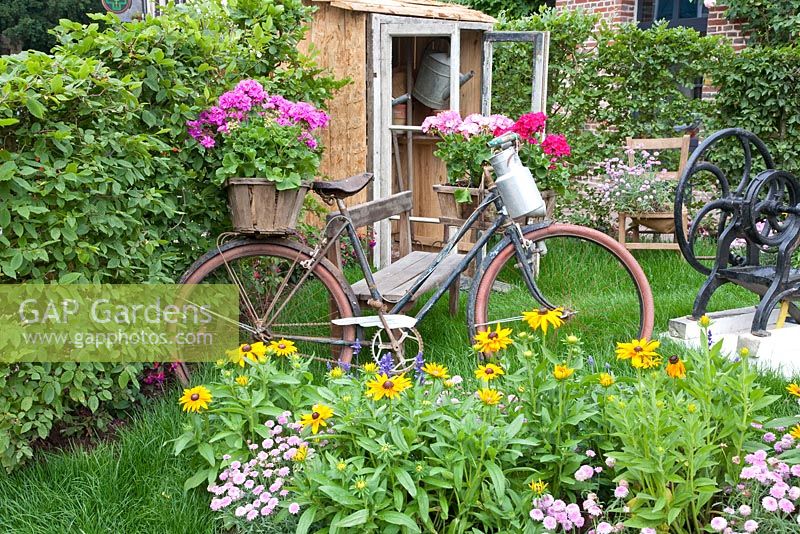 Bicycle in cottage garden, Rudbeckia and Pelargonium