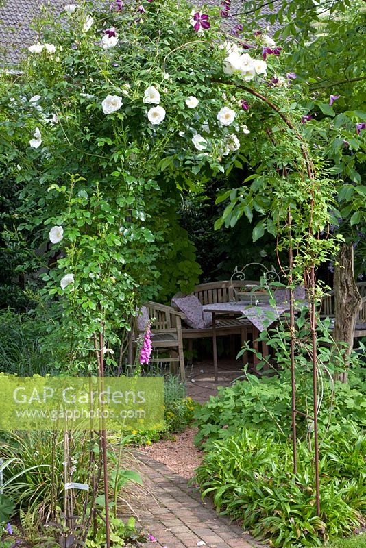 Arbour covered with planting of Rosa 'Hella' and Clematis viticella 'Walenburg'