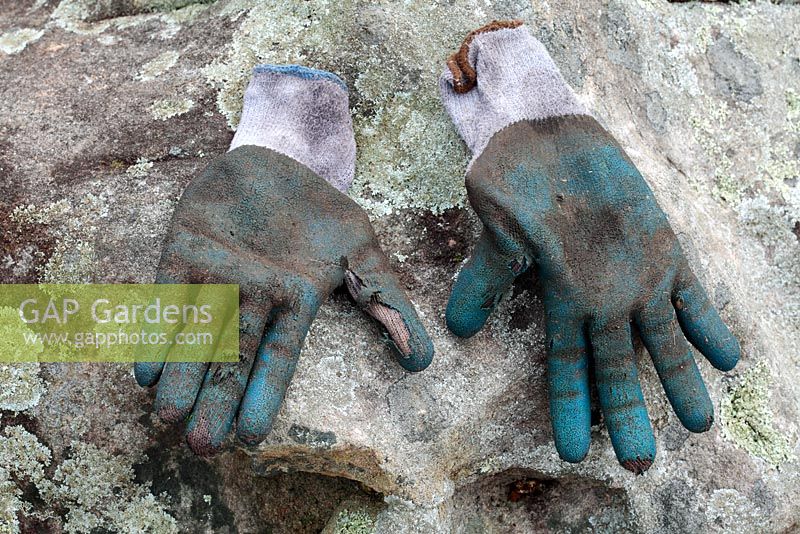 Gardening Gloves, Cape Town, South Africa