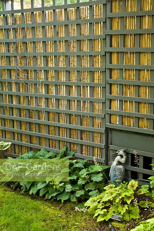 Bamboo wall 
