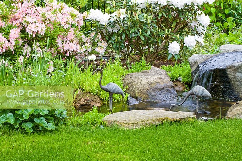 Small water feature with Rhododendron in background