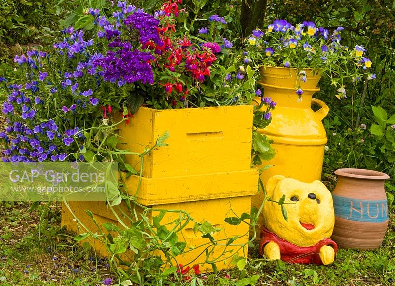 Fuchsia and Viola in colourful containers with Winnie the Pooh ornaments 