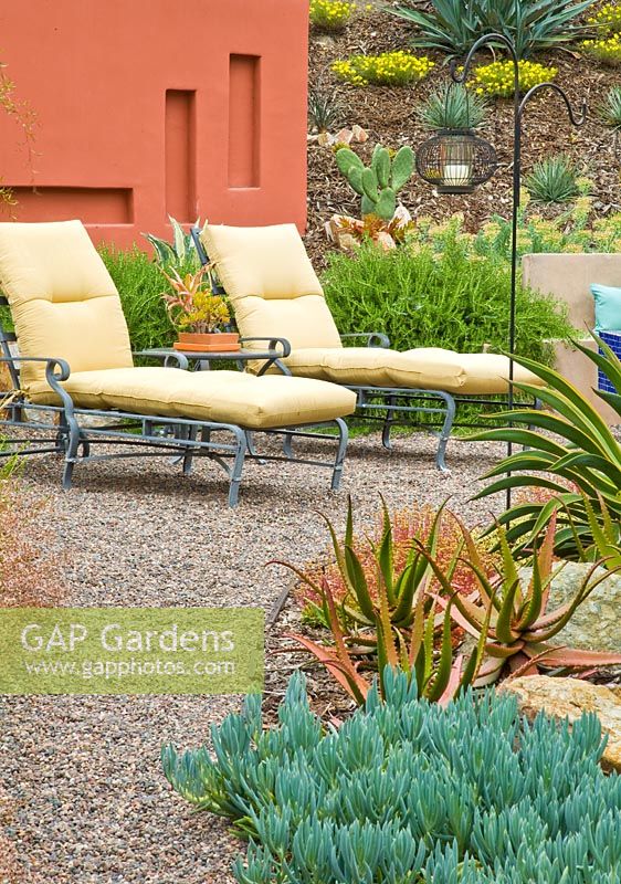 Loungers in tropical garden with planting including Senecio mandraliscae, Aloe and Rosmarinus 