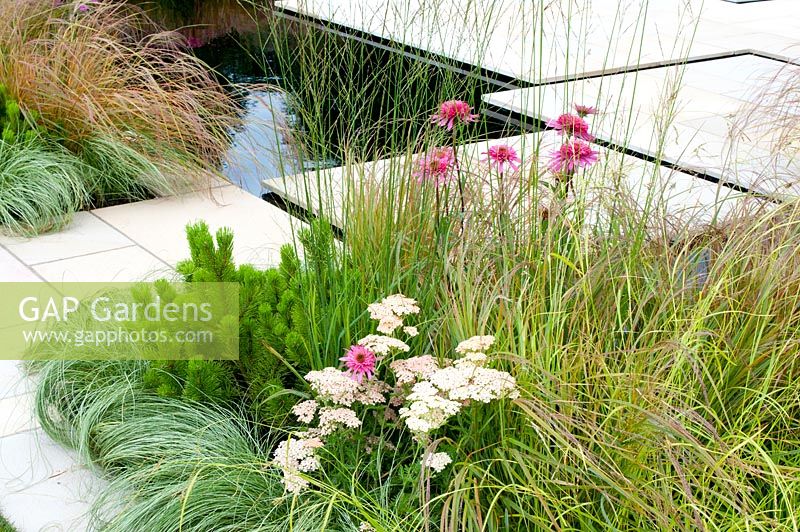 Echinacea purpurea 'Pink Sorbet', Achillea 'Salmon Beauty', Pinus mugo, Carex comans 'Frosted Curls', Molinia caerula 'Transparent' and Anemanthele lessoniana planted by large stepping stones that cross a pool in the 'Alzheimer's Society Remember to Reflect' RHS Tatton Flower Show 2013