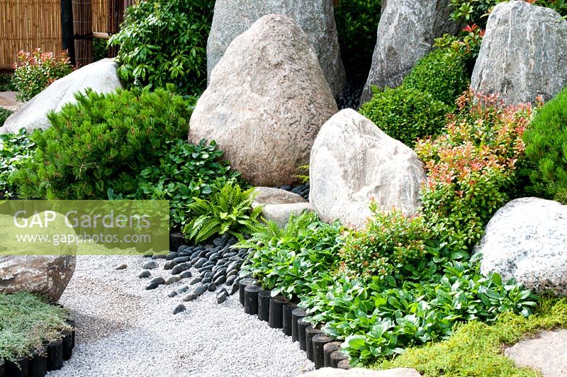 Japanese style garden with large decorative boulders in border with shrubs, fern, Pinus and Pachysandra terminalis 'Green Carpet' edged with black wooden roll and gravel in 'Reflections of Japan'. Gold medal winner at RHS Tatton Flower Show 2013