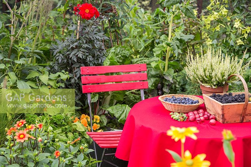 Table with Heather, Wild Blackberries - Rubus fruticosus, Crab Apples, Acorns and Sloe Berries - Prunus spinosa