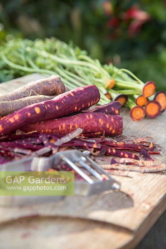 Carrot 'Purple Haze' - peeled and chopped carrots on chopping board 