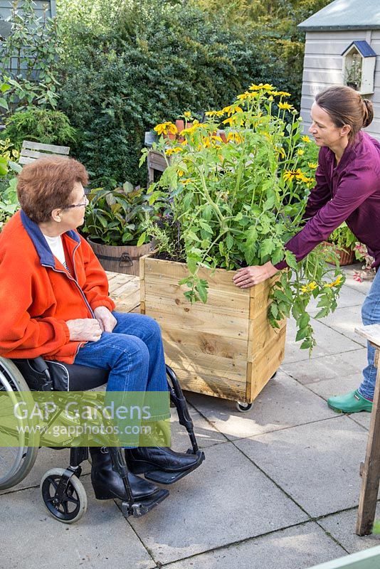 Middle aged woman helping an elderly disabled woman move a mobile trug into position
