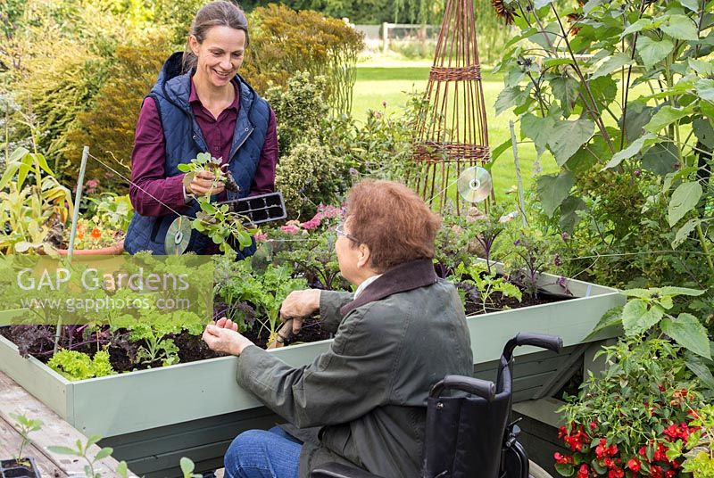 Middle aged woman assisting an elderly disabled woman with gardening