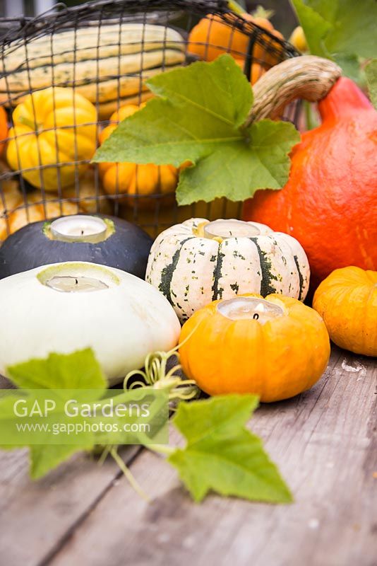 Lit candles in pumpkins and gourds on garden table 