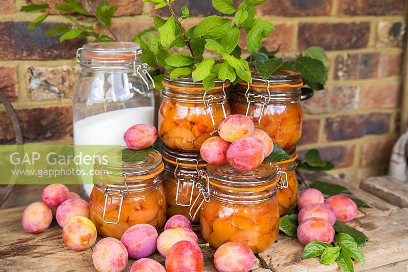 Victoria plums in syrup