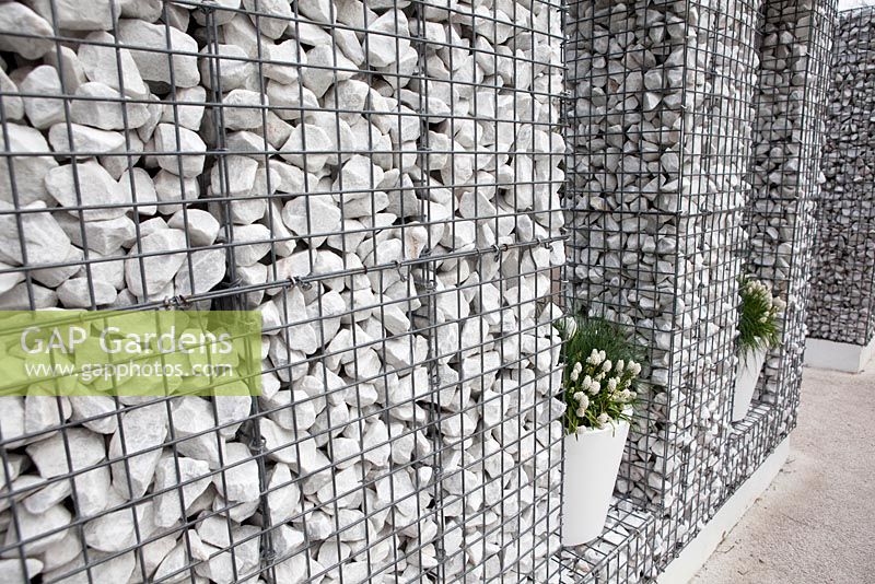Fence of stones with several white pots filled with Muscari 'White Magic'
