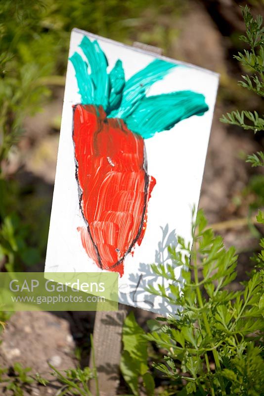 Painted carrot used as plant label in kitchen garden.