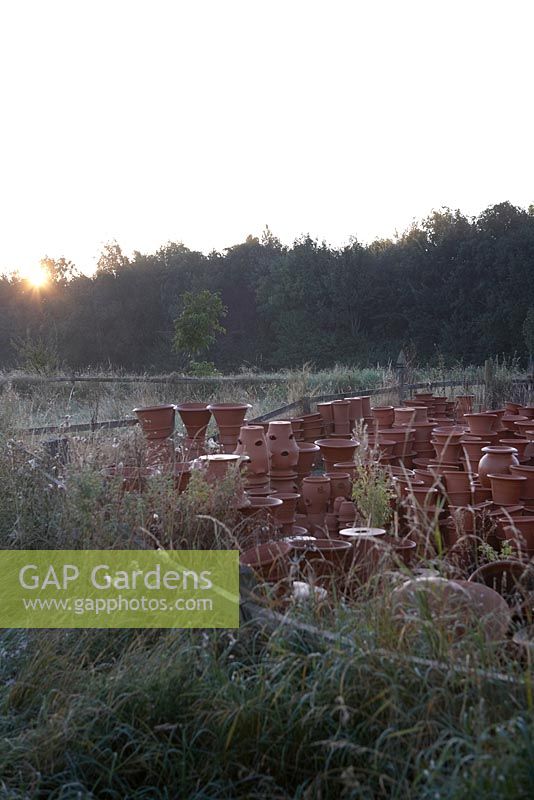 Terracotta pots in the early morning sun.