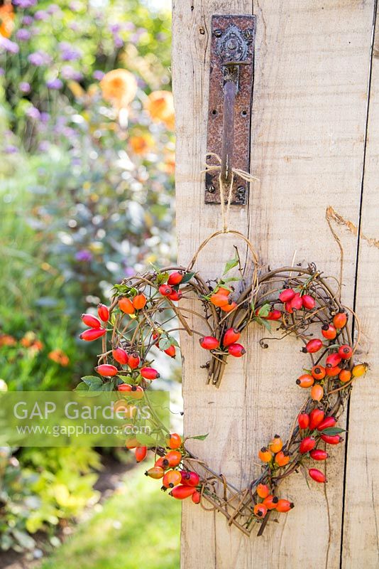 A woven heart with Rose hips, hanging on rustic wooden door