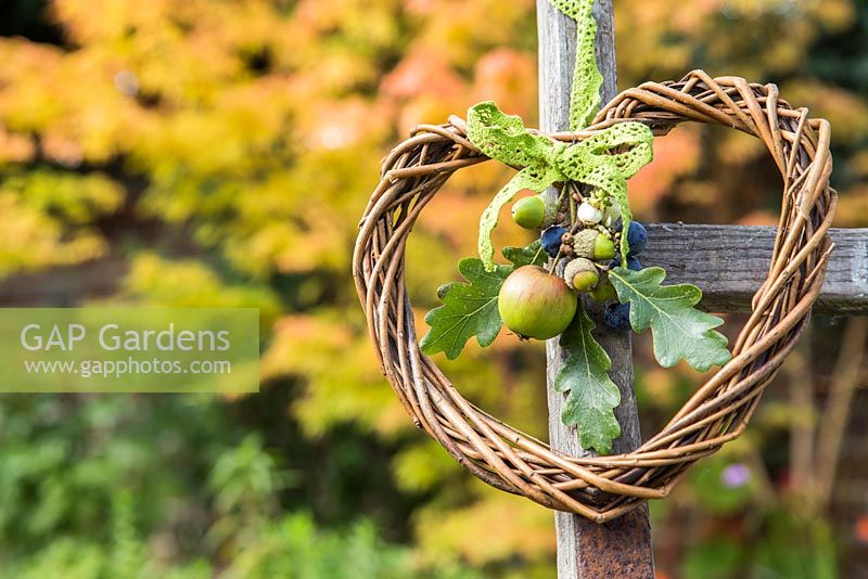 Decorative wreath made of Wild apples, Acorns and Sloe berries - Prunus spinosa