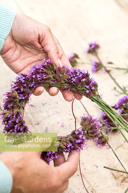Tying Verbena bonariensis together with twine, to form a wreath