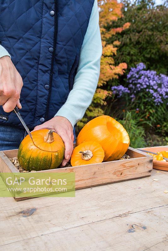Using Pumpkin 'Jack O'Lantern' as a flower container. Cutting off top