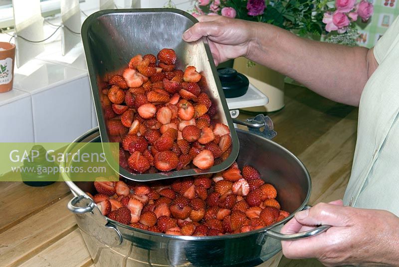 Preparing Strawberries for jam making - placing hulled and halved strawberries into preserving pan ready for cooking