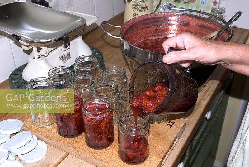 Making Strawberry jam - pouring finished jam into sterilized jars