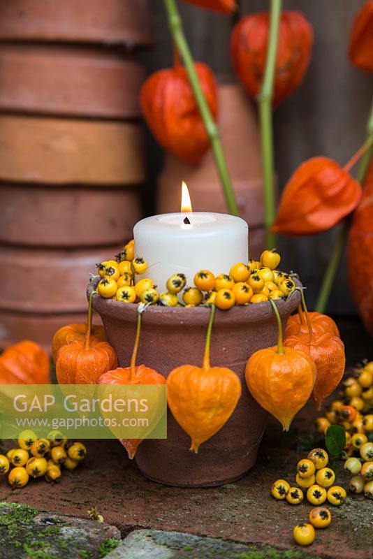 Terracotta pot candle holders with Pyracanthus berries and Physalis fruits
