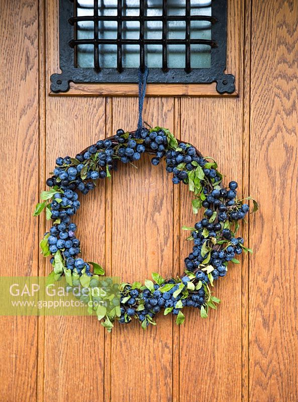 Decorative Sloe Berry wreath against wooden door. Prunus spinosa