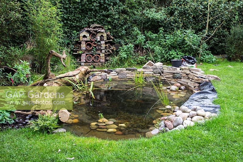 Small wildlife pond with insect house in background
