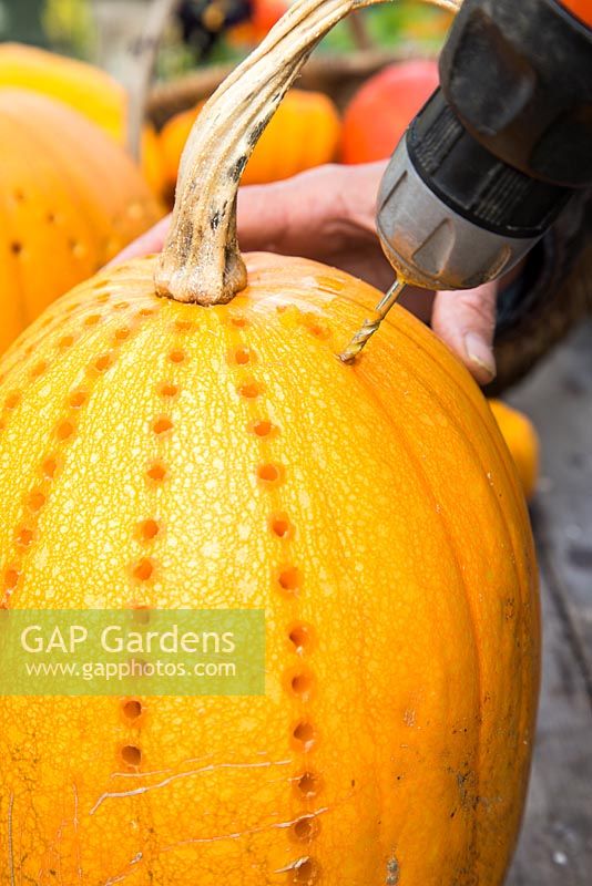 Drilling holes along the grooves of a pumpkin