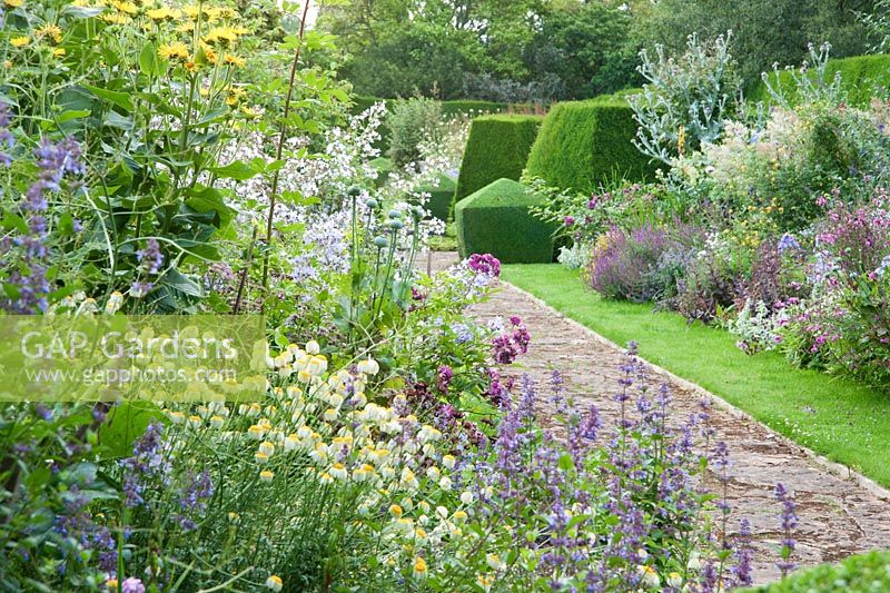 Double herbaceous borders framed with clipped box and tall yew hedges include delphiniums, phlox, campanulas and poppies
