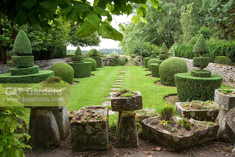 View from the Troughery through to the Topiary garden featuring clipped box. The troughs were previously used around the farm