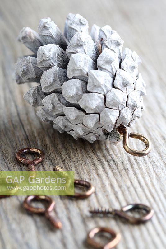 Step by step of making a Christmas garland with fir cones and ribbon - Once the spray paint is touch dry, screw in the metal eyelets at the base of each fir cone