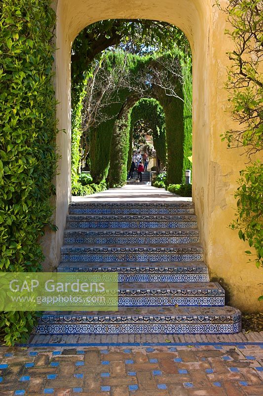 Steps with Azulejos tile decoration leading to The Dance Garden from The Garden of Troy at the Real Alcazar, Seville, Andalusia, Spain