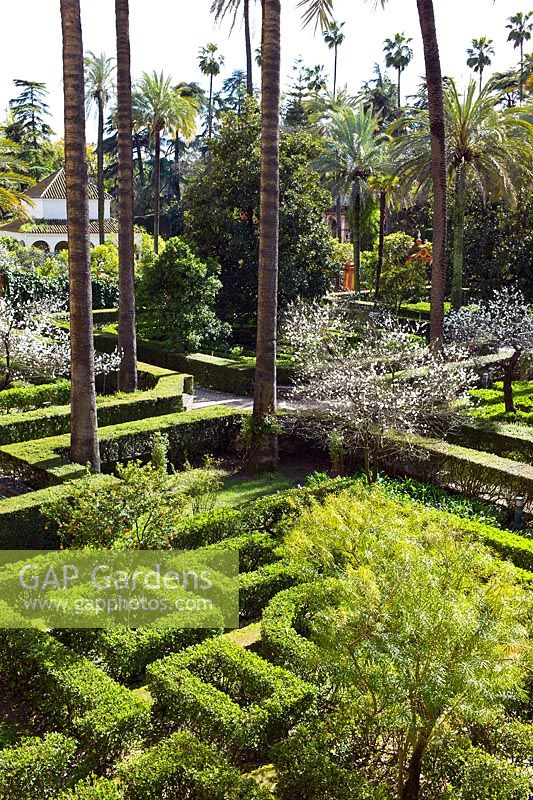 Overlooking The Ladies Garden and The Abode Garden from the Galera del Grutesco at the Real Alcazar, Seville, Andalusia, Spain