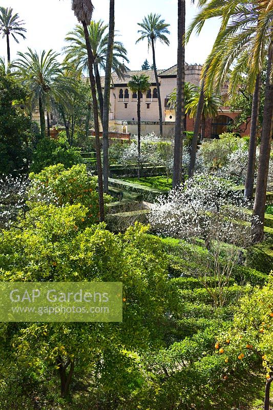 Overlooking The Ladies Garden from the Galera del Grutesco at the Real Alcazar, Seville, Andalusia, Spain