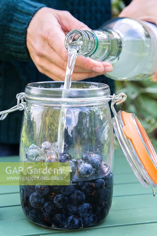 Pouring gin over frozen sloes in glass jar
