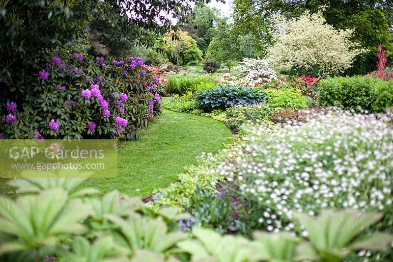 The Dell Garden, The Bressingham Gardens, Norfolk, UK. June.