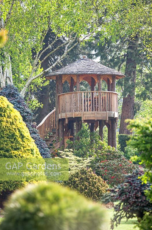 Tree House made from Larch at Foggy Bottom, The Bressingham Gardens, Norfolk, UK.
