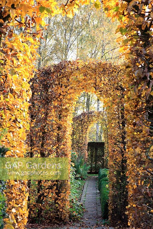 Francis Denayer Gardens Belgium. Autumn garden.