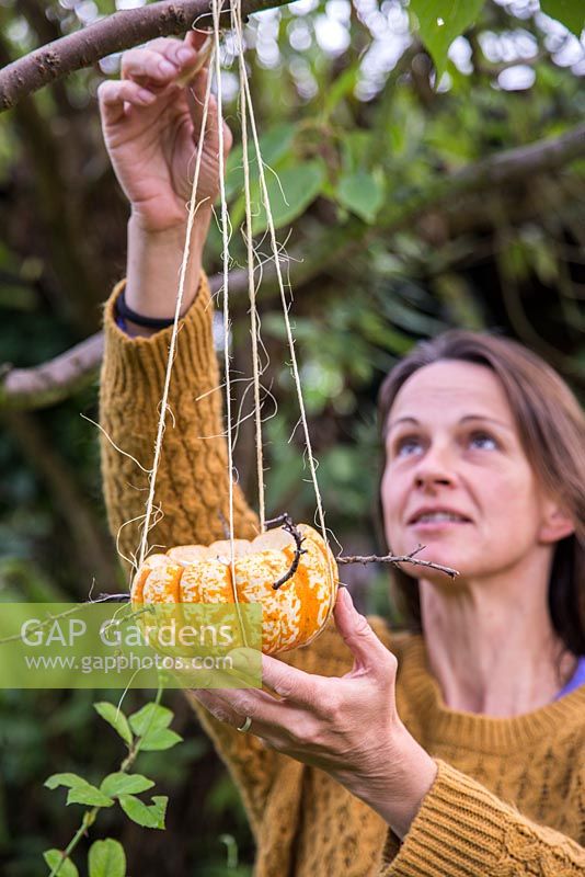 Woman hanging pumpkin filled with sunflower seeds on tree branch