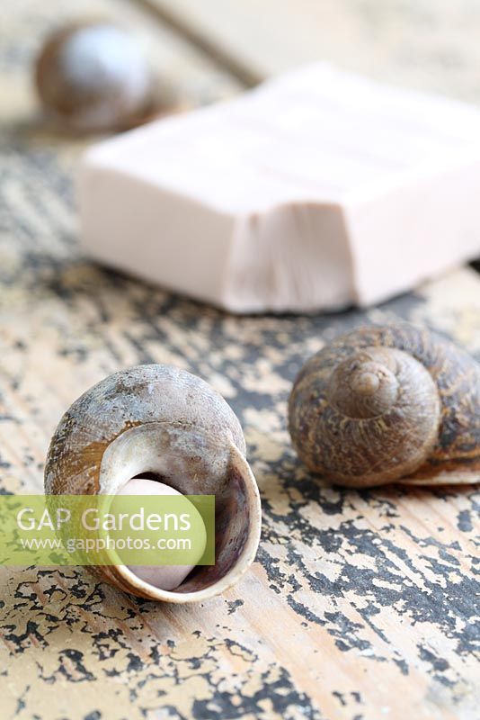 Step by step of making snail shell cane toppers - Break off a small piece of modelling clay, roll into a ball in your hands and then place inside each snail shell