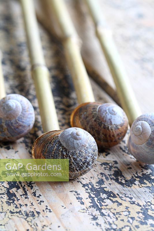 Step by step of making snail shell cane toppers - Detail of the finished cane toppers