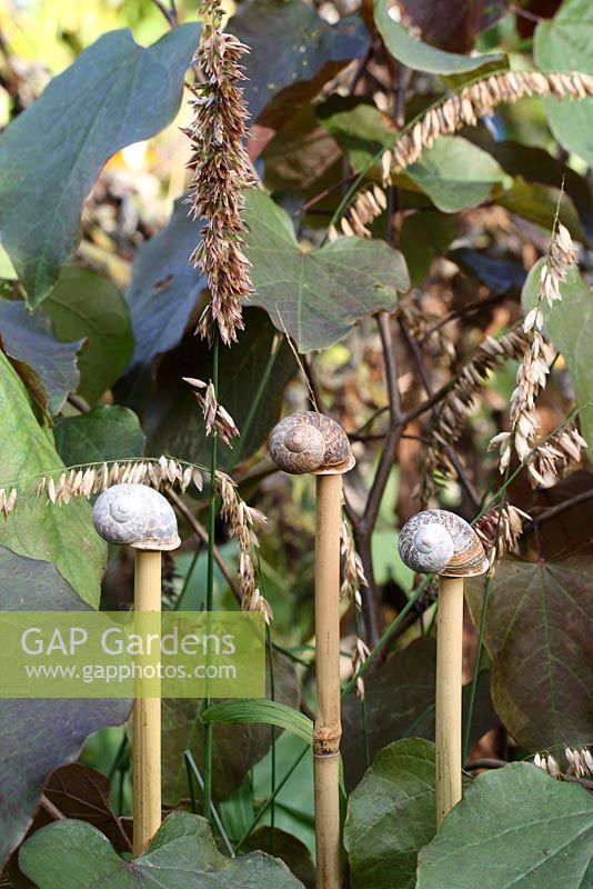 Step by step of making snail shell cane toppers - The finished cane toppers used decoratively with Cercis canadensis 'Forest Pansy' and ornamental grass