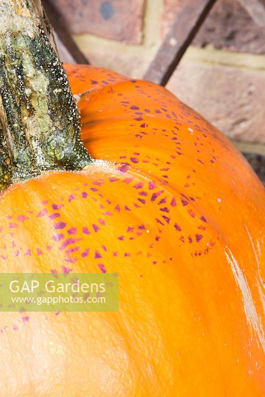 Patterns stenciled onto pumpkin 