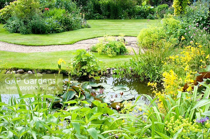 Natural garden pond edged with cobbles with Nymphaea Caltha Iris and Mimulus - Monkey flower in cottage garden with lawn gravel path and mature herbaceous border in June